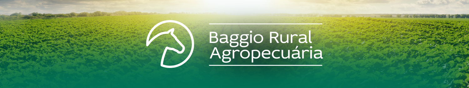 baggio-2